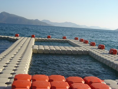 piscine-cube-flottant (3).JPG